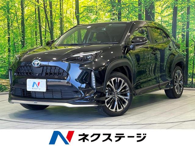 ꥹʡ縩 ǥꥹʥӡϥ顡ͷڸ 1