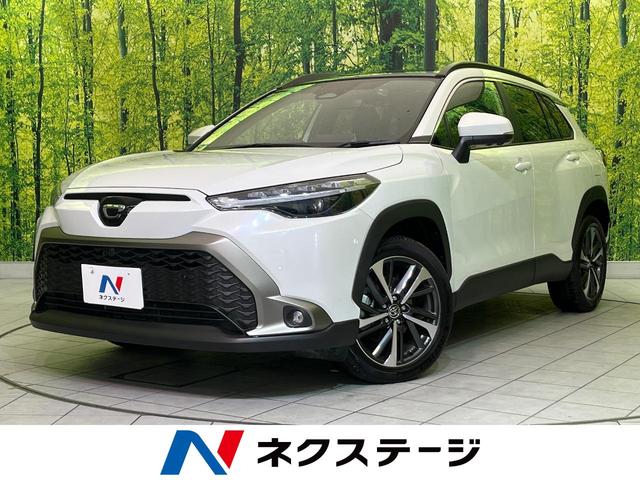 饯ܾ븩 ͷڸ졼롼£ӣ͡ưꥢȡȾץȡţԣ 1