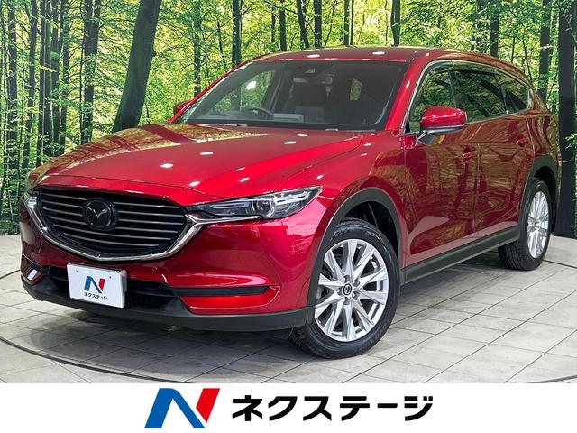 ãءݣ ܡޥĥͥȥʥӡХå顡ޡȥƥ֥졼ݡ 1