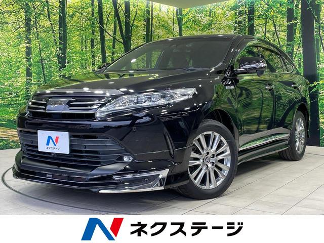 ȥ西 ϥꥢϥ֥å ץߥࡡףġǥꥹե륨ʥ