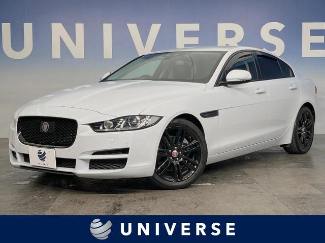 أš̸ ץƥ֥롼ȥ롡ʥȥҡʥӡե륻 1