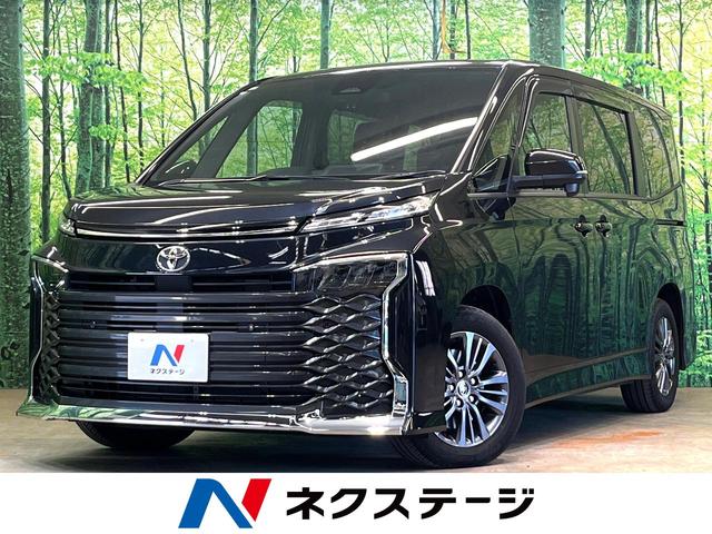 Ÿ ﳲڸƥࡡ졼롼ر֡ʡ󥵡 1