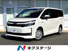 ȥ西ϥ֥åɣ֡ξ¦ưɥӣĥʥӡʥ˥