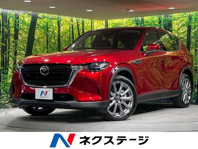 ޥĥ ãءݣ أġ̥ѥåץȡʥ