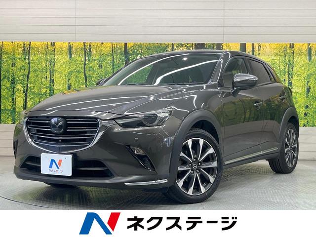 ＣＸ－３　愛知県 ＭＴ車　ターボ　純正ＳＤナビ　バックカメラ　衝突軽減　レーダークルーズ