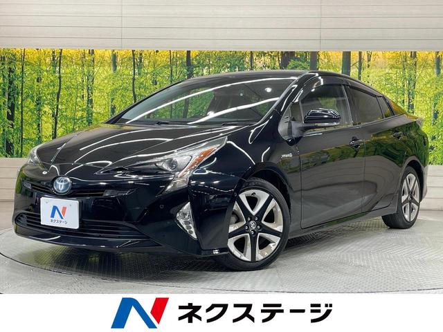 ץꥦθ £ɣǣأʥӡХå顡ͷڸ졼롼ر 1