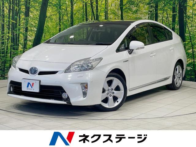 ץꥦ츩 ࡼ롼աʥӡХå顡ץꥯå奻եƥ 1