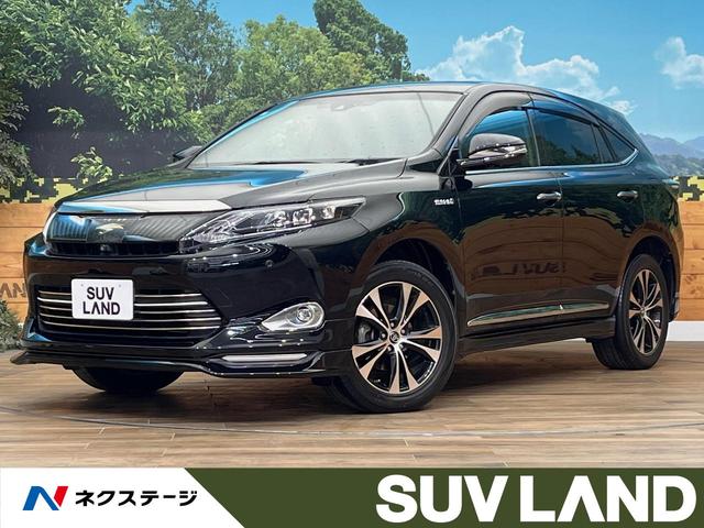 ȥ西 ϥꥢϥ֥å ץߥࡡɥХ󥹥ɥѥå⡼ף