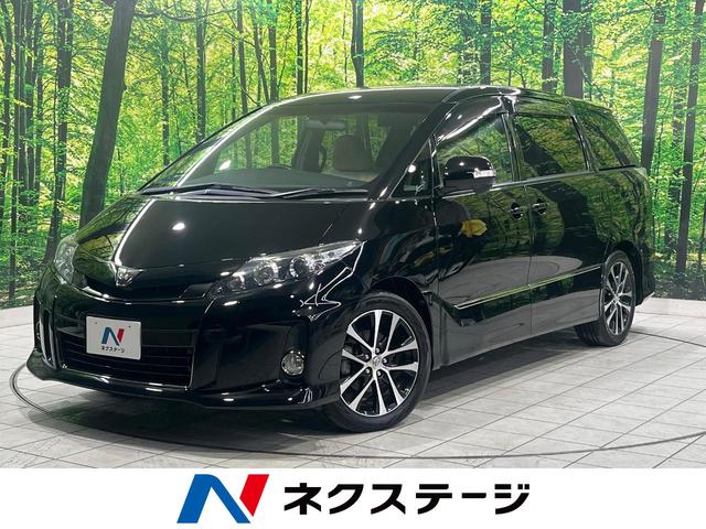 ƥޡ ξ¦ư饤ɡʥӡʥ˥Хå顡ر֡륳 1