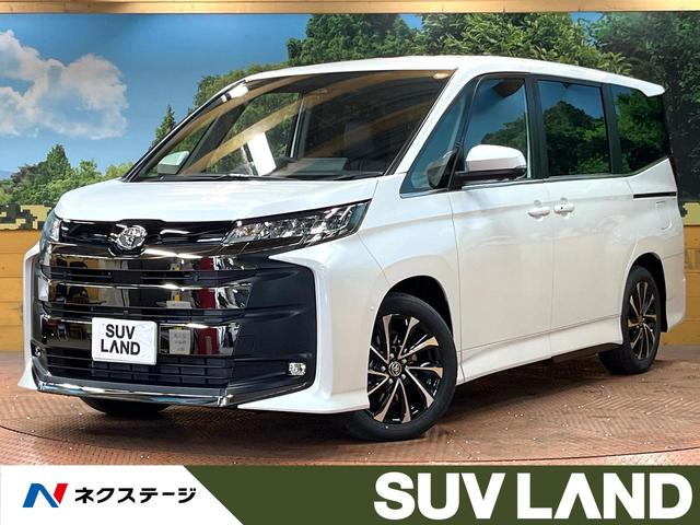 ȥ西 Υ ϥ֥åɣӡݣڡǯǥ롡Ͽ̤Ѽ֡ʥ˥