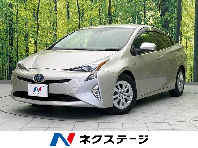 ȥ西 ץꥦ ӥեƥץ饹ӣĥʥӡХå顡ﳲڸƥ