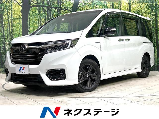 ƥåץ若󥹥ѡܾ븩 ץƥ֥롼ȥҡꥢȥ󡡣ţԣ 1