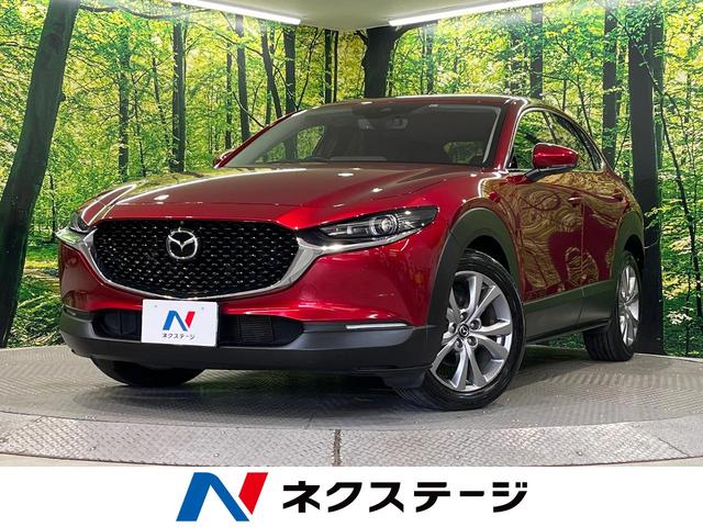 bw|RO(}c_) QOr@vANeBu@c[OZNV@Svc@rcir@S̓J@Փ˔QyVXe@։ԁ@dAQ[g@U[V[g@hR@R[i[ZT[@kdcwbh@rgCdsb@NR@I[gGAR Îԉ摜