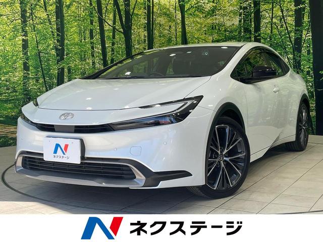 ȥ西 ץꥦ ǡХå顡ͷڸǥץ쥤ǥ