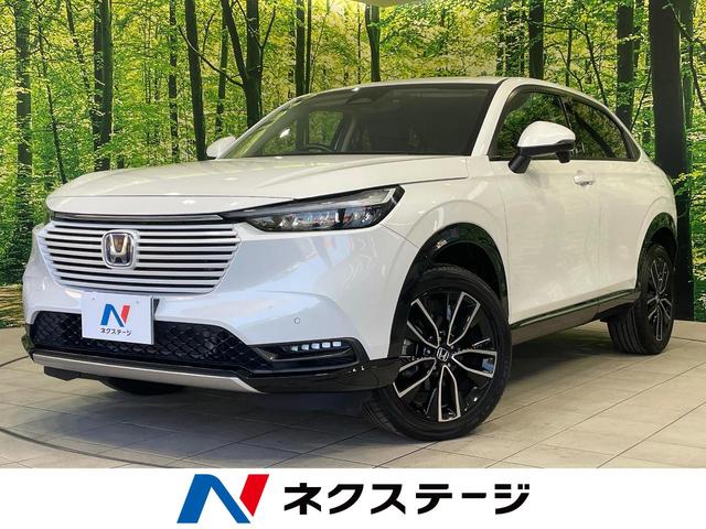 ۥ  塧ȣţ֡ڡӣĥʥӡХå