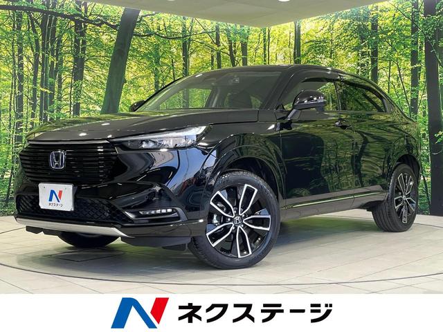 롡ʡ温 ǥץ쥤Хå顡ۥ󥷥󥰡ʥȥҡ 1