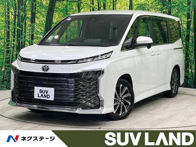 ヴォクシー　千葉県 禁煙車　純正１０型ナビ　バックカメラ　フルセグ　両側電動ドア　レークル