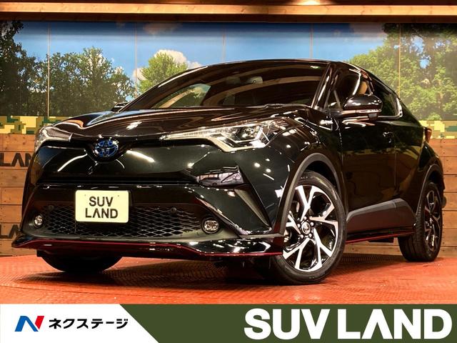 ȥ西 áݣȣ ǡʥӡ졼롼ȥ롡Хå