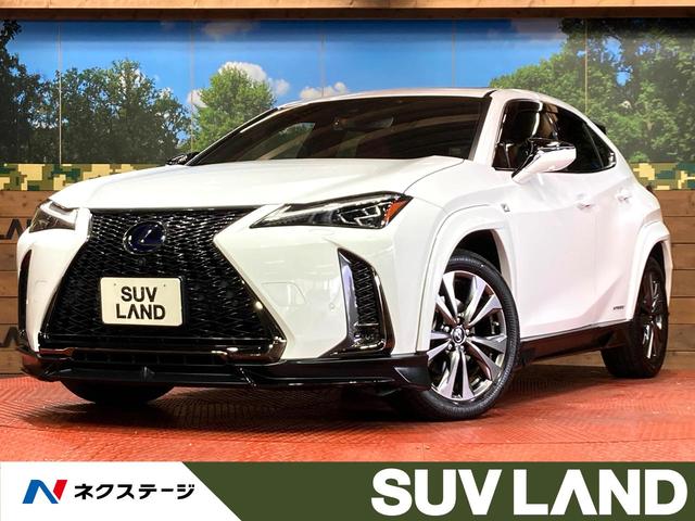 գءθ ʥӡʥ˥ϥ顡ﳲڸƥ 1