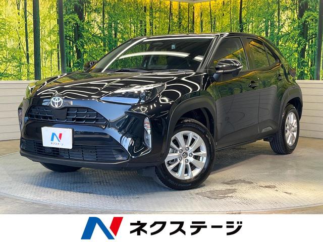 ȥ西 ꥹ ǡǥץ쥤ǥХå顡ﳲڸƥ