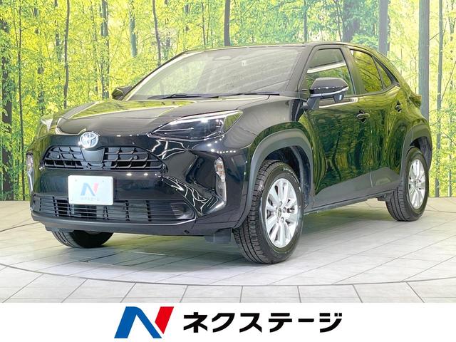 ȥ西 ꥹ ǡر֡ǥץ쥤ǥХå