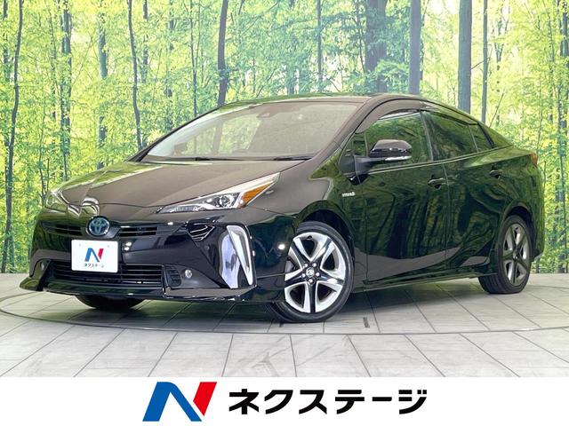 ȥ西 ץꥦ ӥġ󥰥쥯󡡽ӣĥʥӡХå