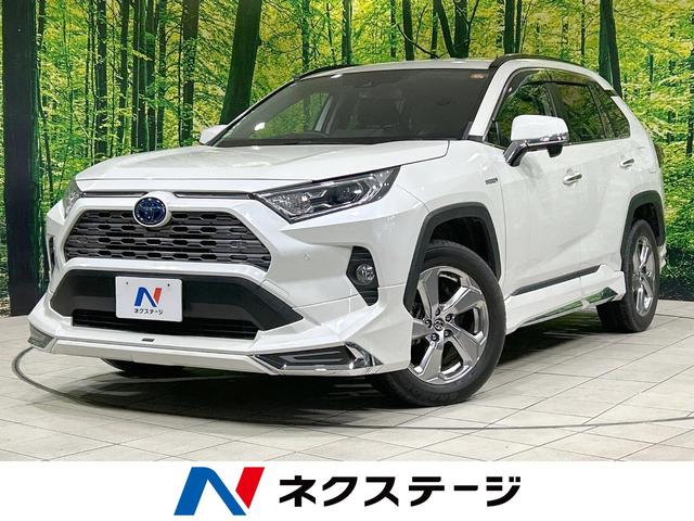 ＲＡＶ４　茨城県 純正ナビ　バックカメラ　セーフティセンス　レーダークルーズ　禁煙車