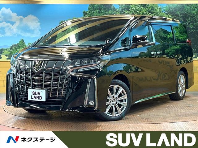 ȥ西 ե ӡץɡر֡롼