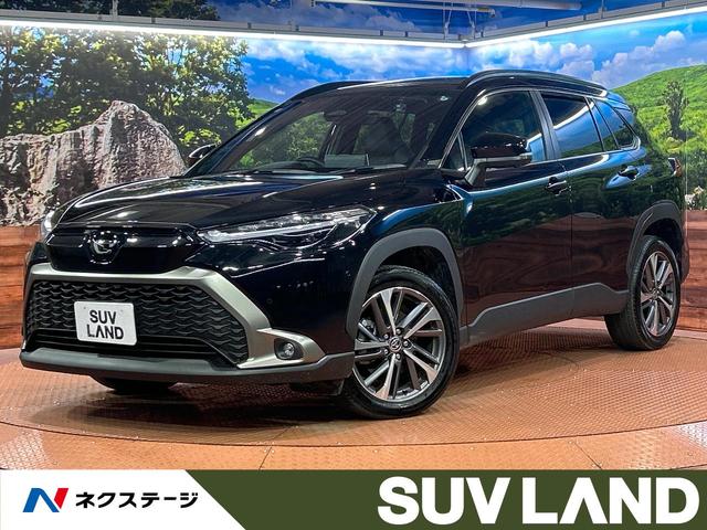 J[NX(g^) nCubh@y@PODT^ir@KX[t@S̓J@Փ˔QyVXe@uChX|bgj^[@[_[N[Y@։ԁ@dAQ[g@n[tU[V[g@p[V[g@hR@V[gq[^[ Îԉ摜