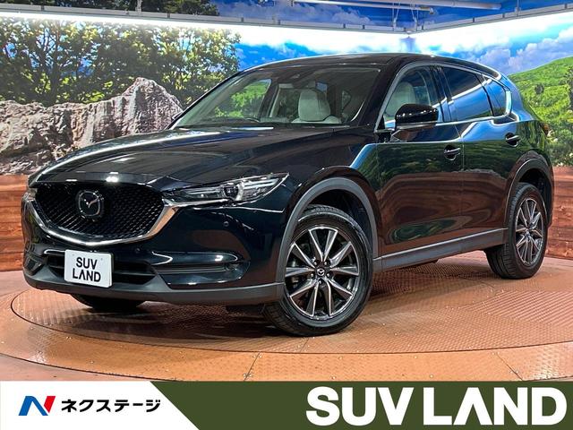 ޥĥ ãءݣ ӡ̥ѥåޥĥͥȥʥӡϥ