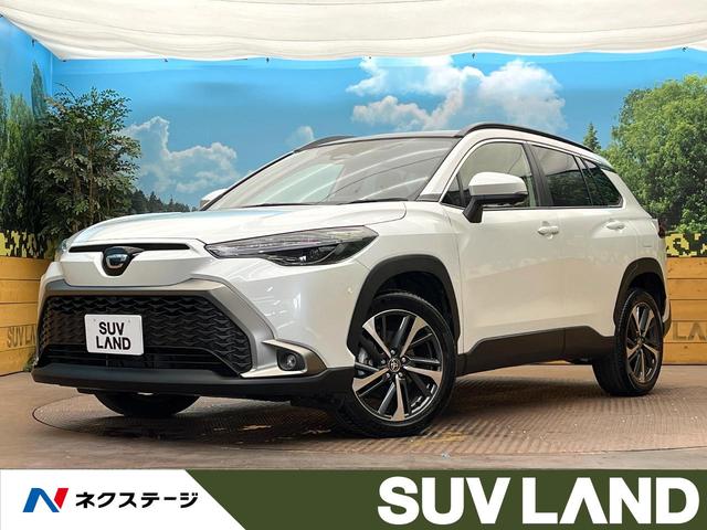 J[NX(g^) nCubh@y@pm}[t@PODT^ir@S̓J@g^Z[teBZX@[_N[Y@uChX|bgj^[@p[obNhA@p[V[g@V[gq[^[@kdcwbhCg@I[gnCr[ Îԉ摜