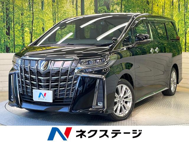 ȥ西 ե ӡץɡեåץ˥ʥ