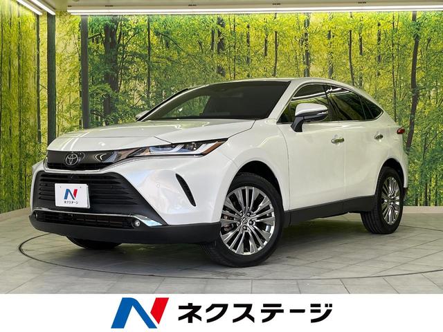 ȥ西 ϥꥢ ڡʥӡϥ顡ʣ£̥