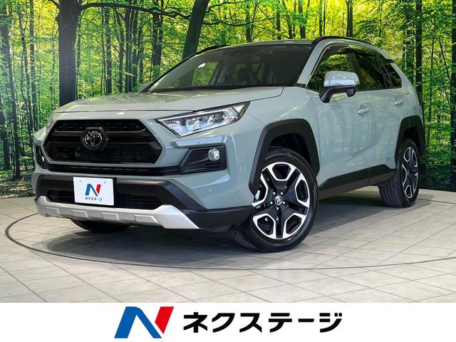 ＲＡＶ４　長野県 Ｂｌｕｅｔｏｏｔｈ　フルセグ　シートベンチレーション　パワーバックドア