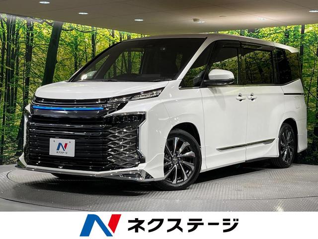 θ ǥꥹե륨ͥ㡼ߡŬأУˣǡʥ 1