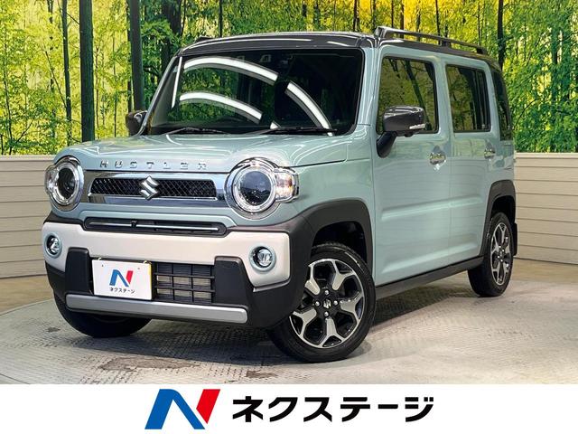  ϥ顼 ʥɣɡʥӡϥ顡ǥ奢륫֥졼ݡ