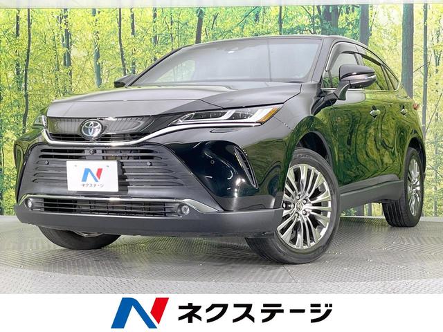 ȥ西 ϥꥢ ڡĴѥΥޥ롼աϥ顡ʥ