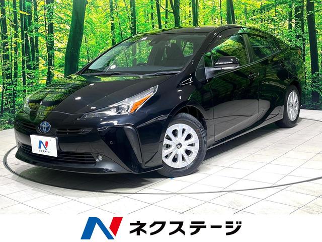 ȥ西 ץꥦ ӡͷڸ֡ʥӡ졼롼ȥ