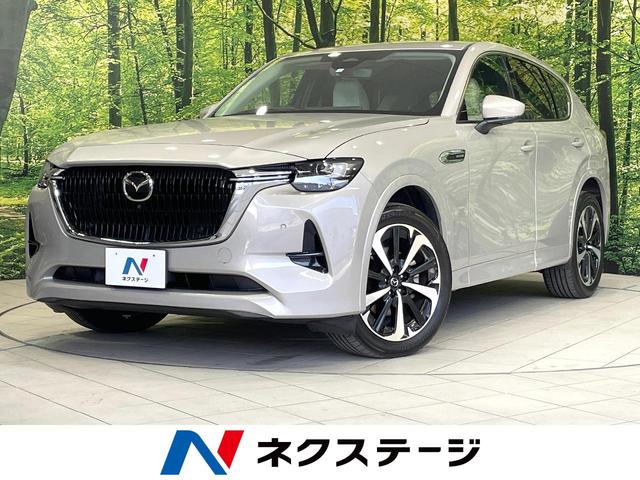 ޥĥ ãءݣ أġݥϥ֥åɡ롼֥󡡣ףġر