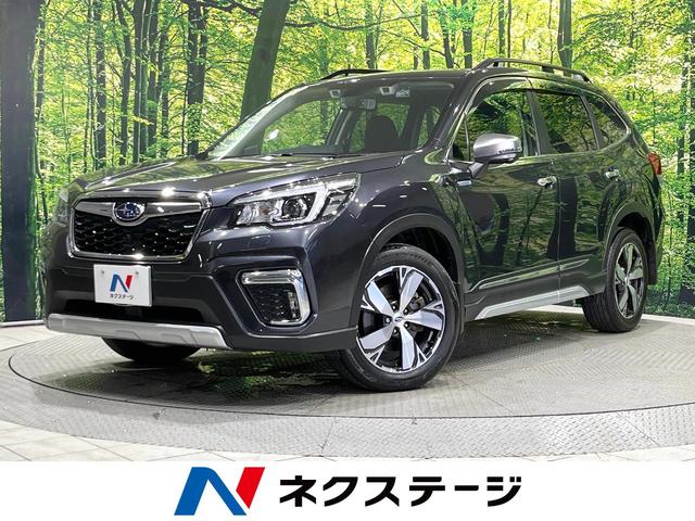 ե쥹̳ƻ ȥƥΥ졼롼ưꥢȡɥ쥳 1