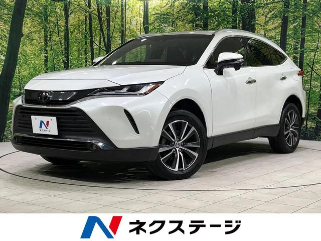 ȥ西 ϥꥢ ǡףġХå顡եƥ