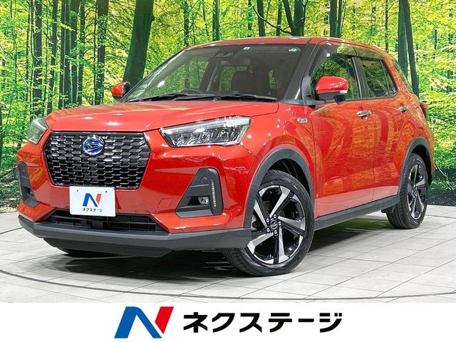 å븩 ޡȥȡץƥ֥롼ȥҡʡ󥵡 1