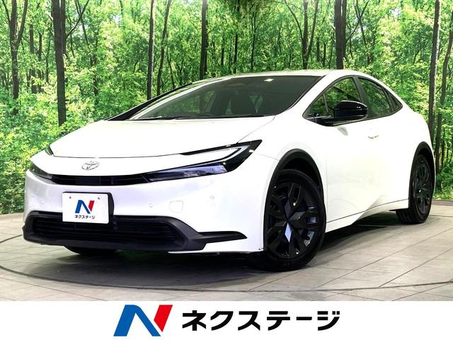 ȥ西 ץꥦ ءģХå顡ͷڸ