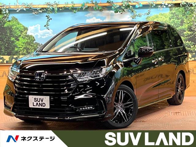 ǥåϥ֥åɡ եåץ󡡣ʥӡϥ顡졼롼ţԣáر 1