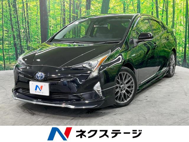 ȥ西 ץꥦ ӥեƥץ饹ӣĥʥӡХå顡ﳲڸƥ