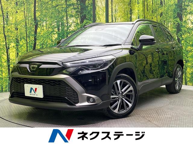 饯ɲ ѥΥޥ롼աر֡ǥץ쥤ǥ 1