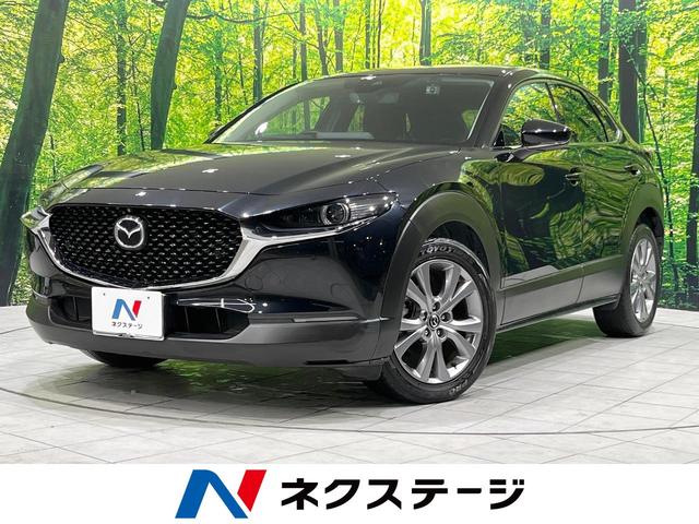 ãءݣŸ ϥ顡ﳲڸƥࡡ졼롼ر 1