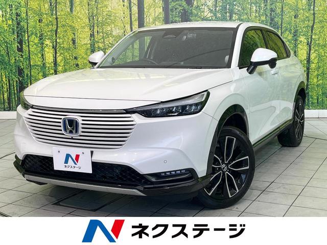 ۥ  塧ȣţ֡ڡر֡ʥ