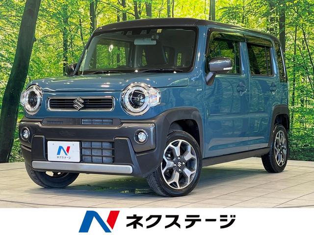 ϥ顼븩 ӣĥʥӡХå顡ﳲڸƥࡡ졼롼ر 1