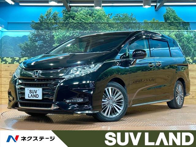 ǥåϥ֥åɡո ر֡ʥӡե륻ʥ˥ϥ 1